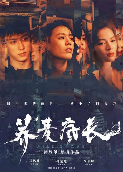怎么查自己的学位证书